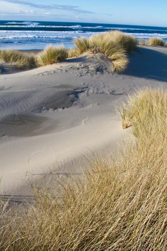 Dunes And Beach Grass